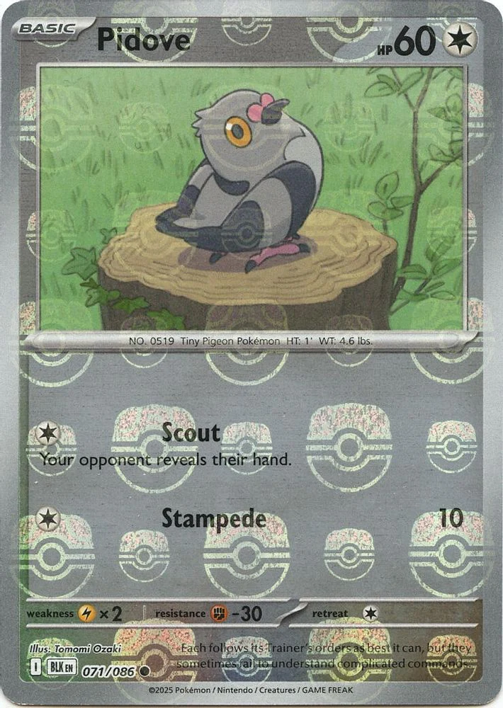 Pidove (Master Ball Pattern) (#071/086) (SV: Black Bolt) Near Mint Holofoil