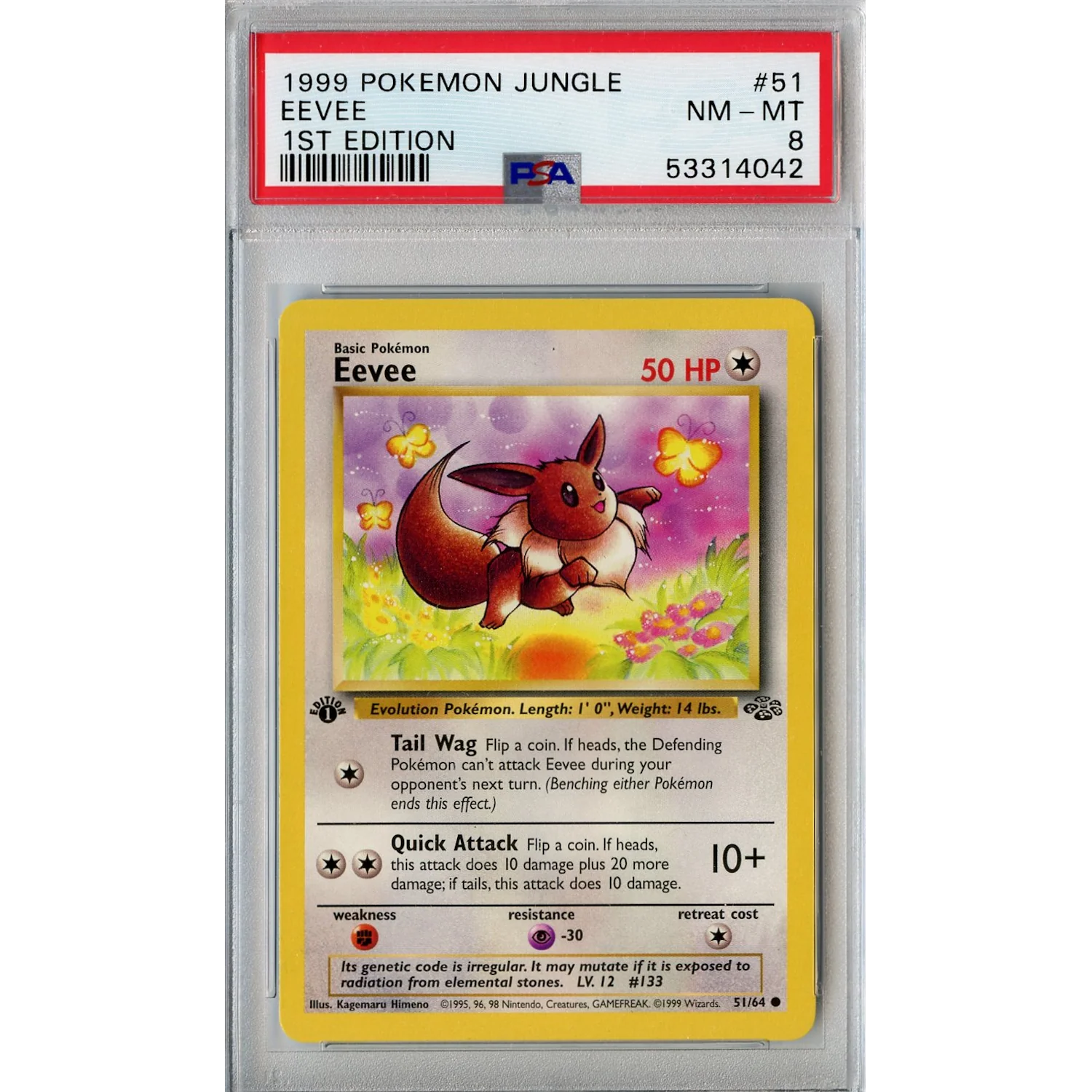 Eevee (51/64) - Common - Jungle 1st Edition [PSA 8]